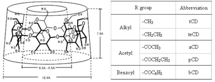 치환기에 따른 다양한 β 형 CD의 구조와 약자 정의