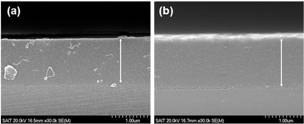 FE-SEM photographs of the cross section of (a) SSQ film, (b) SSQ/[CA[4] 30% porous film.