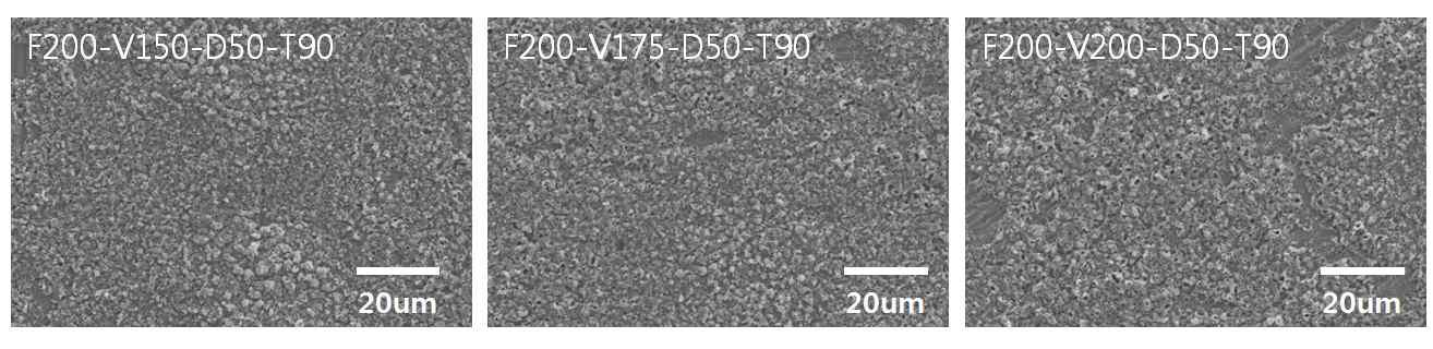 인가된 전압의 변화에 따라 MAO 처리된 시편의 SEM 사진