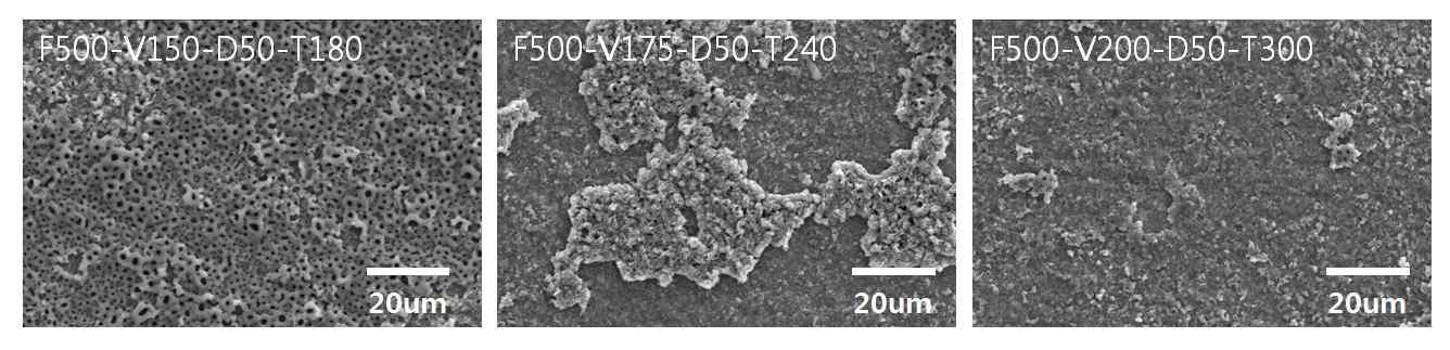 MAO 처리 시간의 변화에 따라 제조된 시편의 SEM 사진