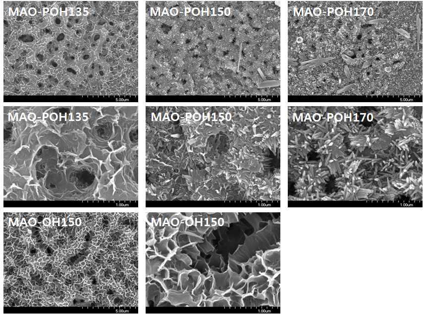 MAO 처리 후 열수처리 온도에 따라 처리된 시편들의 SEM 사진.