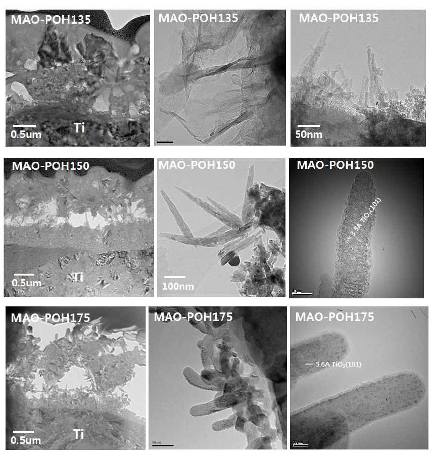 MAO 처리 후 열수처리 온도에 따라 처리된 시편들의 TEM 사진.