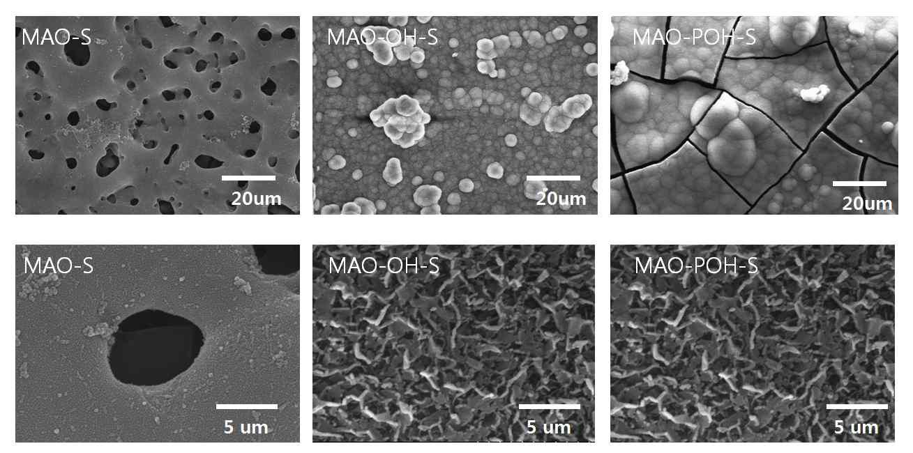MAO, MAO-OH 및 MAO-POH 시편을 mSBF 용액에 6일동안 침적 후 관찰한 SEM 사진