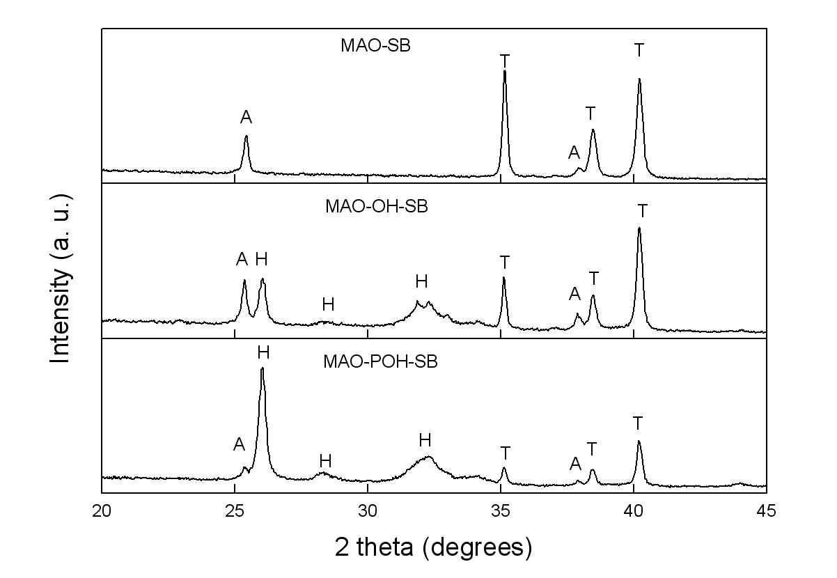 MAO-OH와 MAO-POH 시편 상에 BSA가 공침된 BLAp가 코팅된 X-선 회절패턴. (A: anatase TiO2, R: rutile TiO2, H: hydroxyapatite, T: titanium)