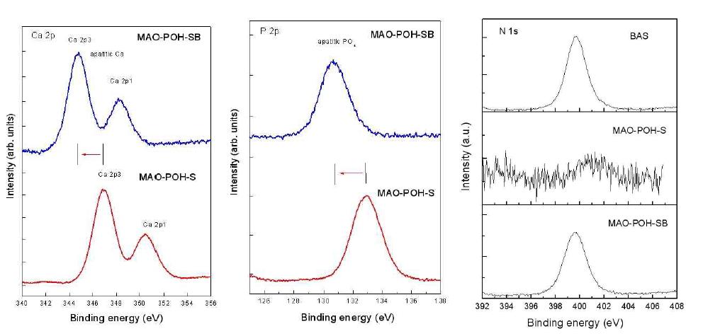 MAO-POH-SB와 MAO-POH-S의 Ca, P, N 원소에 대한 고분해능 XPS 스펙트럼
