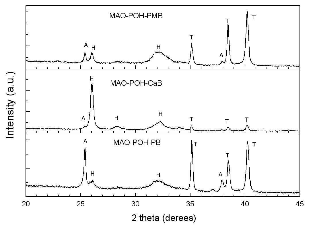 mSBF 제조시 BSA의 혼합 방법에 따라 BLAp가 코팅된 시편의 X-선 회절패턴. (A: anatase TiO2, R: rutile TiO2, H: hydroxyapatite, T: titanium)