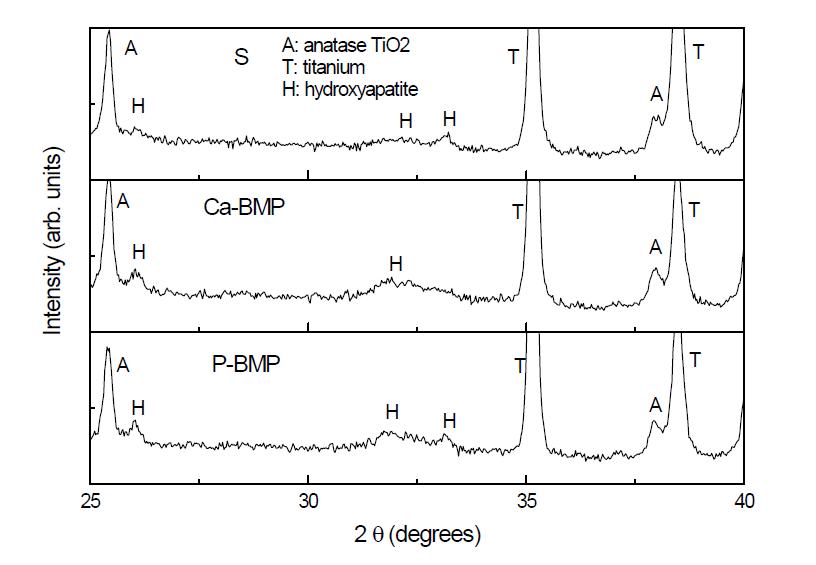 mSBF 제조시 BMP-2의 혼합 방법에 따라 BLAp가 코팅된 시편의 X-선 회절패턴.