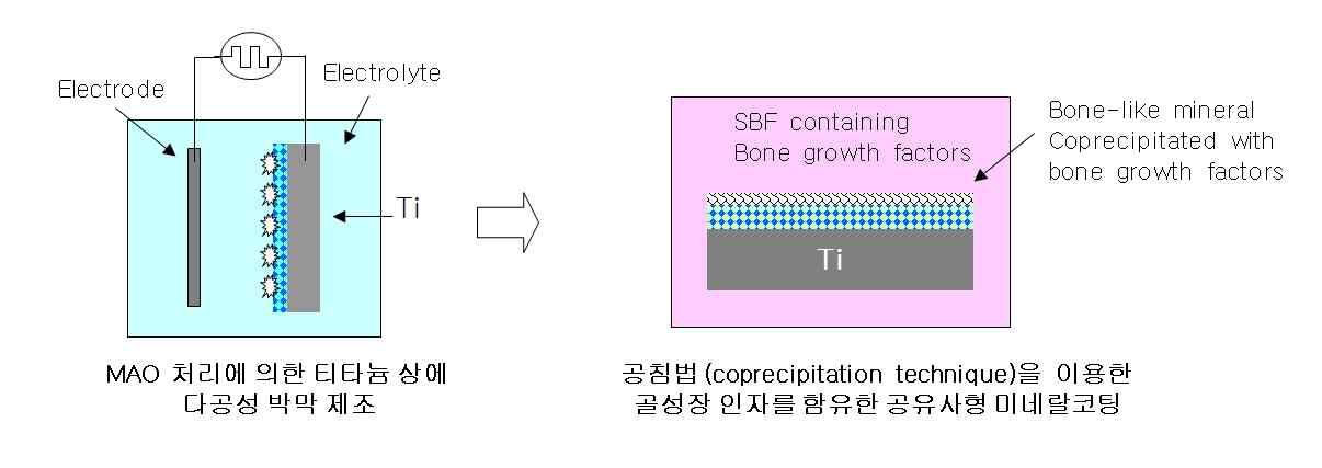 본 연구의 개략도