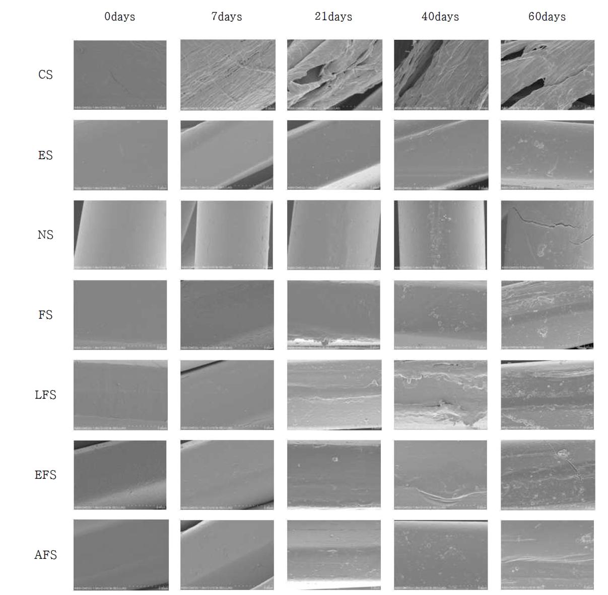 SEM images of samples depending on soil degradation time.