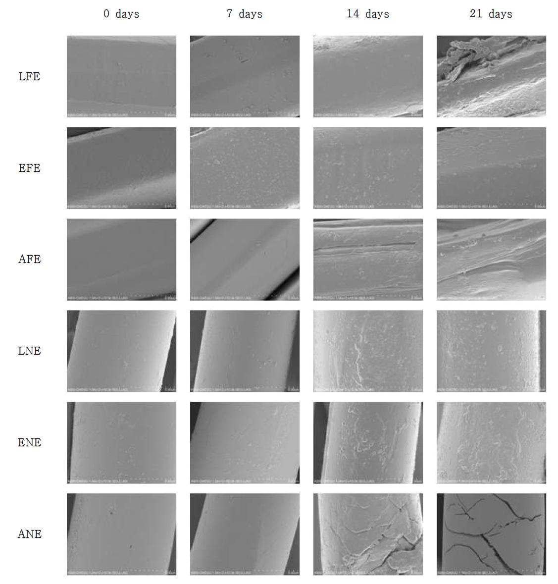 SEM images of enzyme-treated PLA fabrics and nonwovens depending on enzyme degradation time.