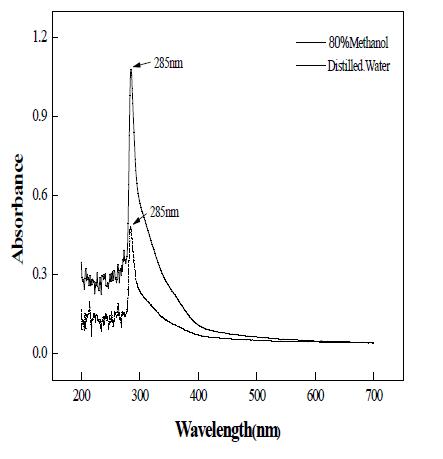 UV-Vis spectrum of pine needles extract.