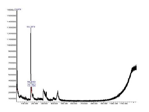 GC-MS of pine needles extract.