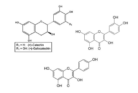 Chemical structures of catechins(a), quercetin(b), and kaempferol(c).