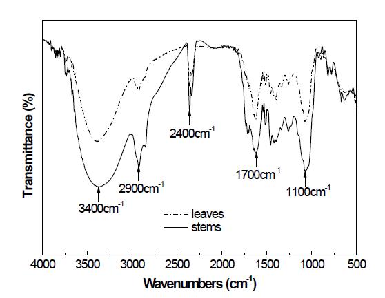Infrared spectrum of bamboo extracts.