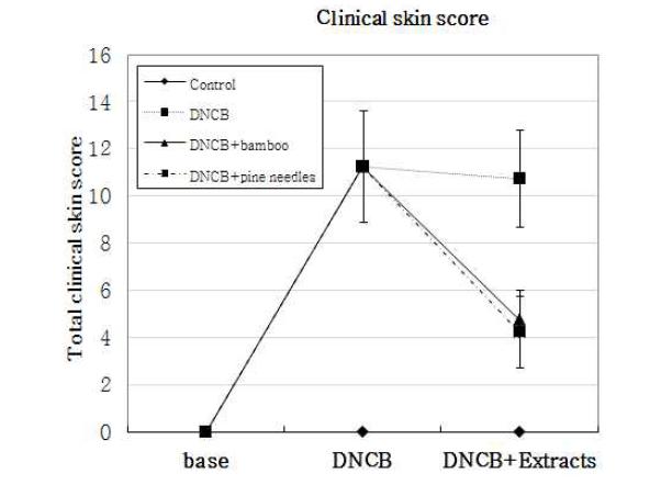 Effect of daily topical applicaion of DNCB on modified SCORAD score of NC/Nga mice with Bamboo and Pine needles extracts under conventional condition