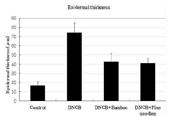 Change of thickness of epidemis in mice skin treated with DNCB, DNCB+Bamboo extracts, DNCB+Pine needles extracts