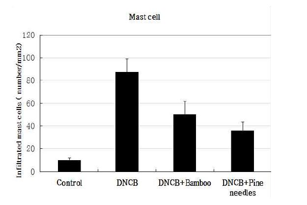 Change of Mast cell in mice skin treated with DNCB, DNCB+Bamboo extracts, DNCB+Pine needles extracts