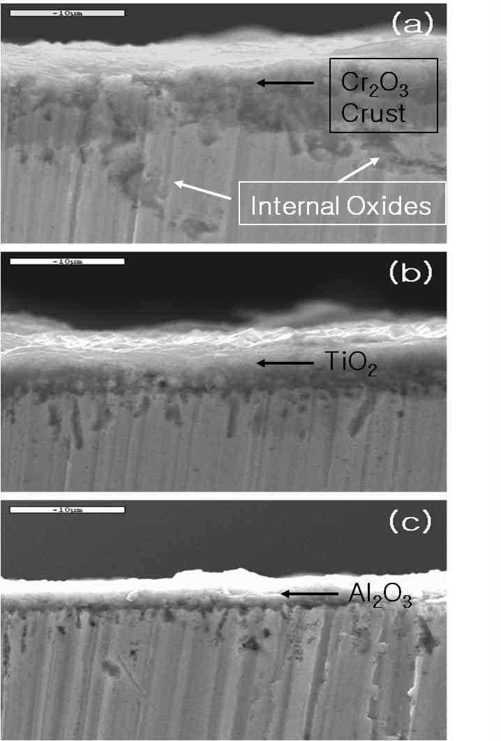 SEM cross-sectional micrographs of (a) uncoated, and (b) TiO -2 and (c) Al2O3-coated Inconel 617 heat-treated at 1000℃ for 24 h.