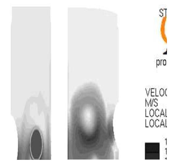 Velocity magnitude contour in downcomer and lower plenum