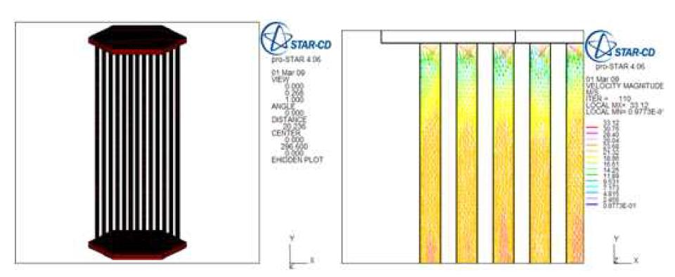 CFD analysis for fuel assmebly unit moduel