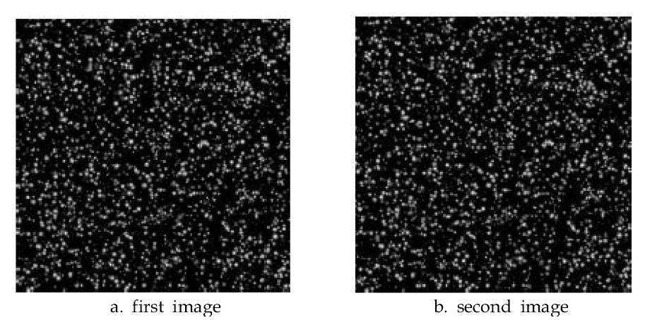 Standard image of Particle Image Velocimetry