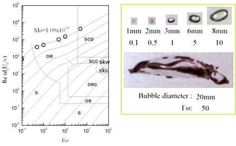 측정한 기포의 크기와 그에 따른 모양