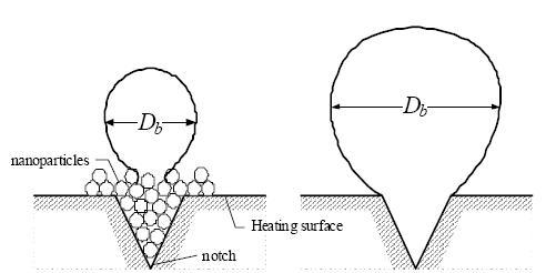노치 표면 부근의 나노입자의 형태