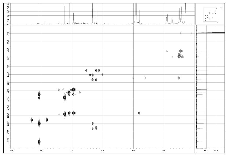 화합물 1의 HMBC NMR 스펙트럼