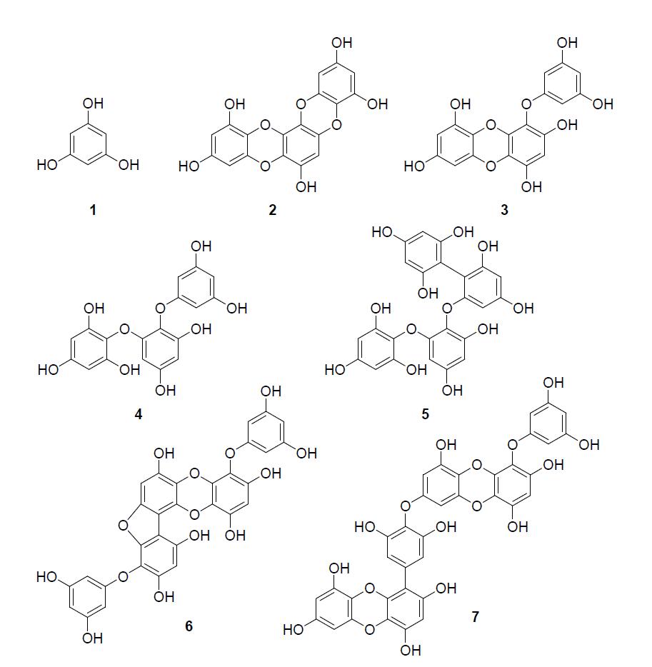 감태에서 분리한 화합물 1-7의 화학구조