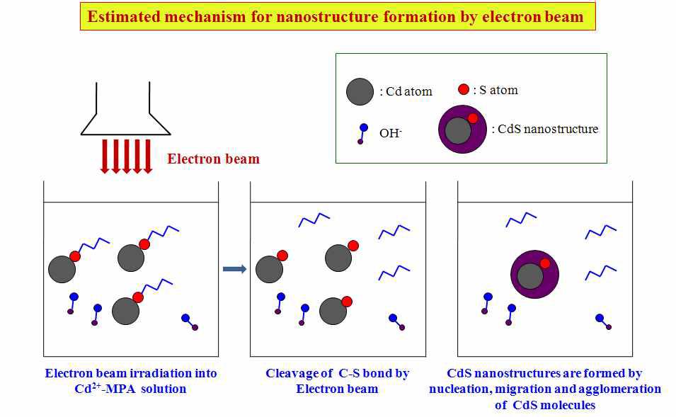 전자빔 조사에 의한 양자점 합성의 도해.
