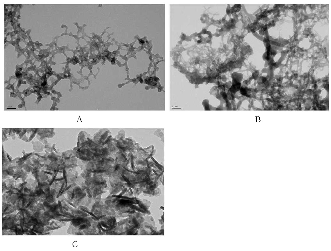 DMP의 농도가 2.5 mM일 때 전자빔을 조사하여 합성한 CdS 나노구조의 CdCl2의 농도 A: 0.4 mM, B: 2mM 그리고 C: 5mM 에 따른 TEM 이미지