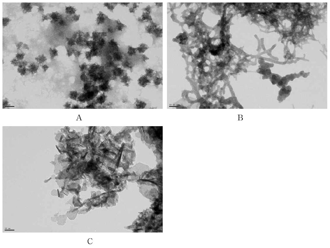 BAL의 농도가 2.5 mM일 때 전자빔을 조사하여 합성한 CdS 나노구조의 CdCl2 의 농도 A: 0.4 mM, B: 2mM 그리고 C: 5mM 에 따른 TEM 이미지