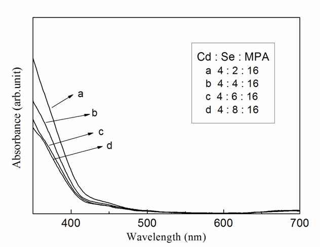 CdSe 양자점의 Cd:Se:MPA 농도에 따른 광흡수 스펙트럼.