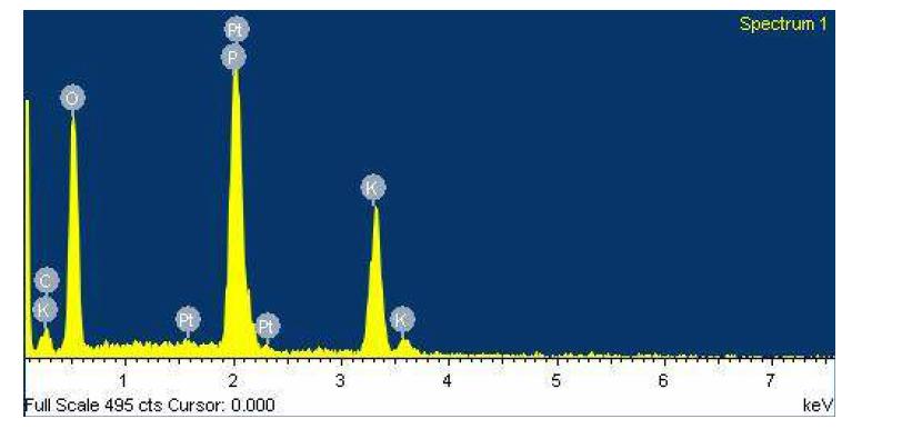 본 연구개발에 의한 carbon based 고체 전해질 (KDP+CNT)의 원소분석 (EPMA)
