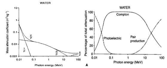 Photon의 에너지에 변화에 따른 water의 mass attenuation coefficient와 photoelectric absorption, Comton scattering, pair production 현상의 attenuation 기여도 변화 (Attix 1986).