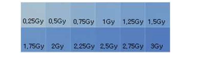 x-ray beam에 노출된 0.16 x 0.16 inch2 film의 dose vs. optical density in 12 x 12 pixels.