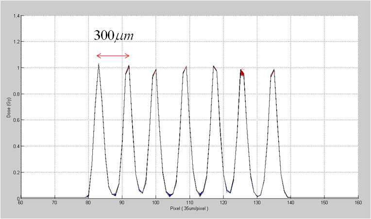 Sliding plate를 이용하여 300 mm간격으로 조사한 150 kV microbeam.