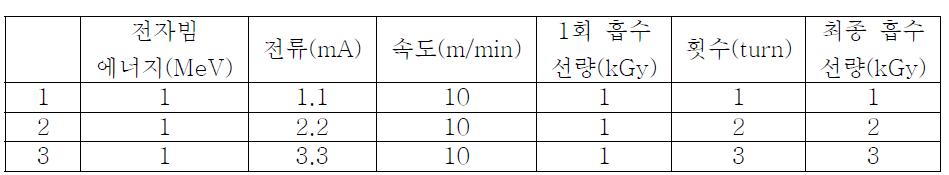 전자빔 조사 조건