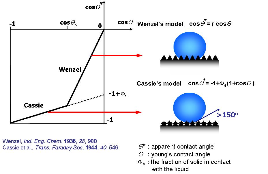 표면의 미세요철에 따른 표면의 소수성을 설명하는 두 가지 모델