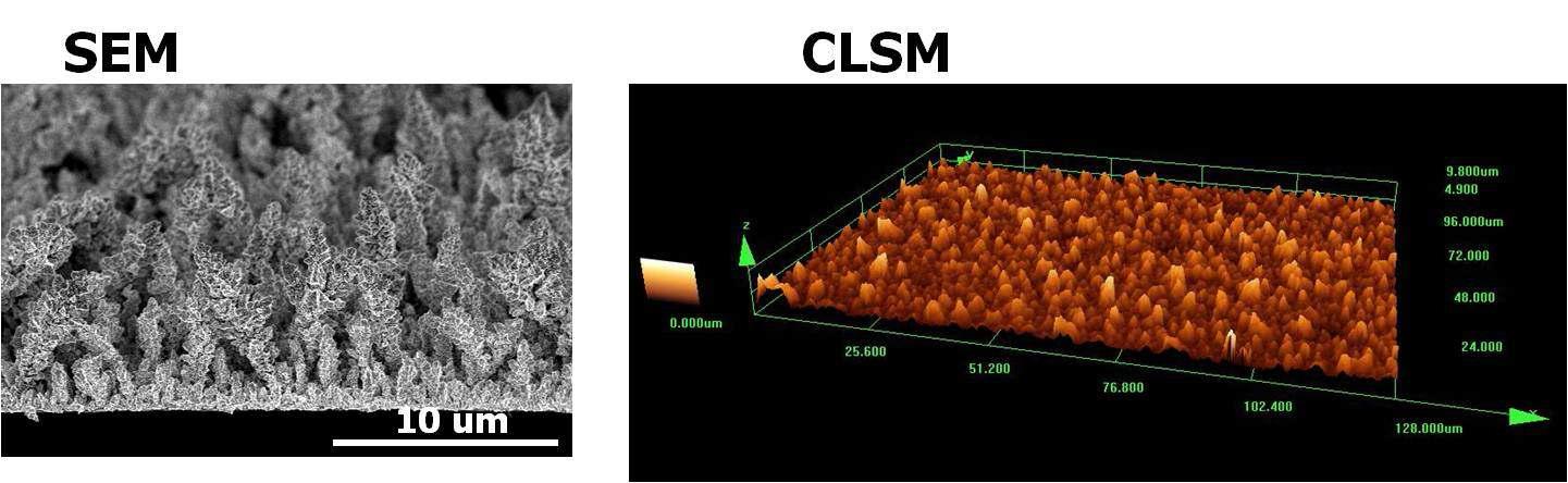 Galvanic cell displacement reaction으로 제조된 표면의 SEM, CLSM 이미지