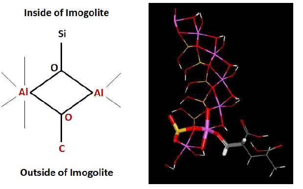 Imogolite와 Acyrlic acid가 중합 된 모습의 간단한 모형.