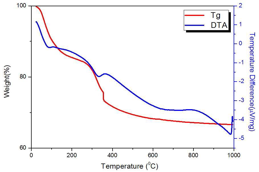 합성 Imogolite의 Tg와 DTA 곡선