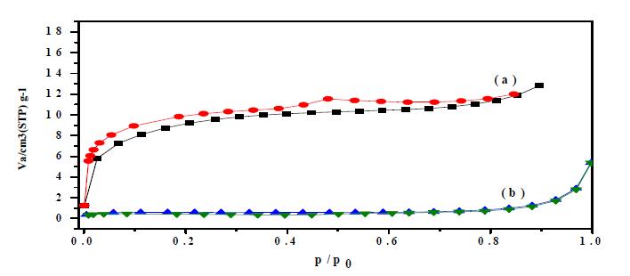 전처리 온도에 따른 N2 gas adsorption/ desorption isotherem