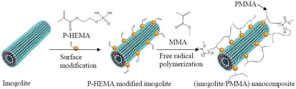 2-acidphosphoxyethyl methylacrylate (P-HEMA)의 화학식과 (imogolite/PMMA) 나노복합체 준비