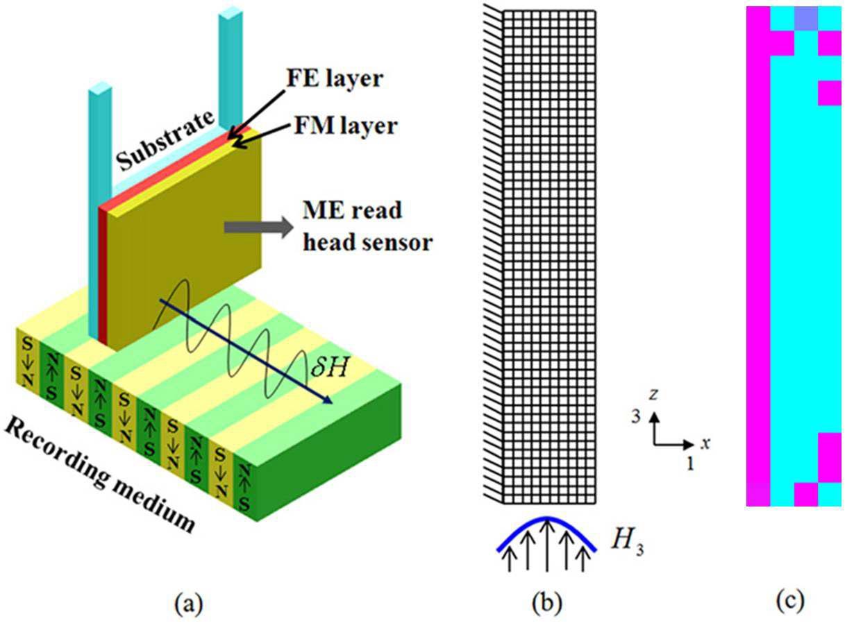 다강성 물질을 이용한 자성 기록장치의 헤드 설계 (a) 자성 기록장치의 헤드 개략도, (b) 문제 정의, (c) 최적화 결과