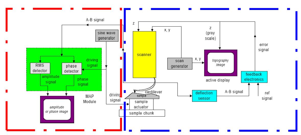 Schematic diagram of Ultrasonic AFM