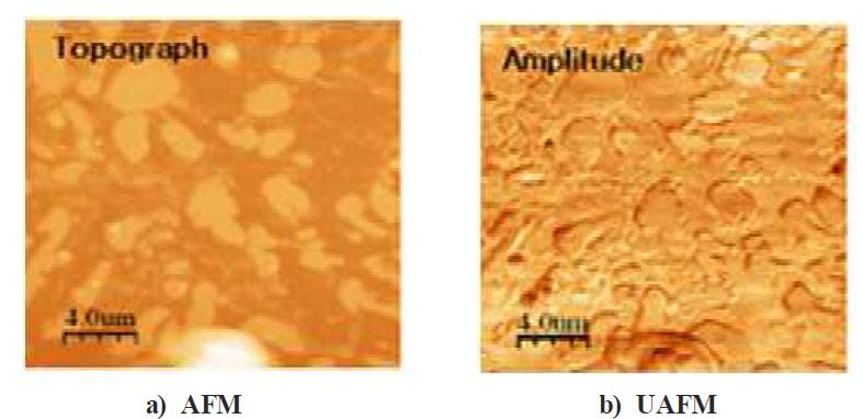 Comparison of topography by Ultrasonic AFM; (a) AFM, (b) UAFM