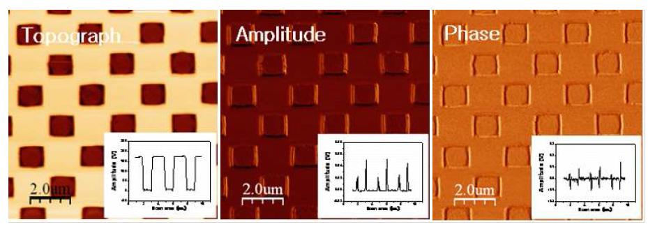 AFM and UAFM images of deposited silicon wafer