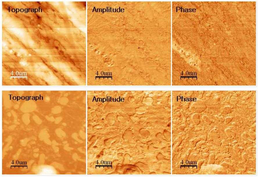 AFM and UAFM images of SWRCH45Fsteel: (a-c) 0 h and (d-f) 30 h spheroidization.