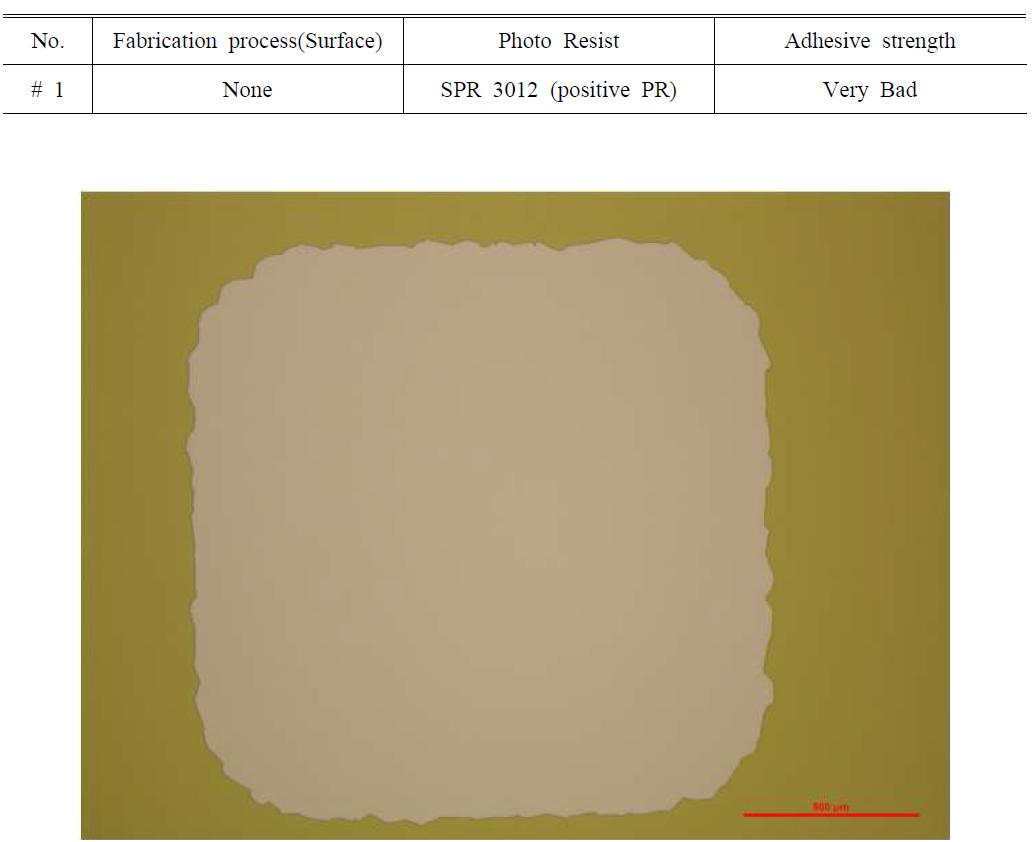 Optical image of fabricated thin film (#1)